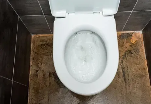 Desentupidora de Vaso Sanitário Urgente em São Caetano do Sul